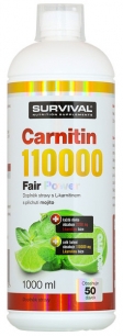 L-Carnitin 110000